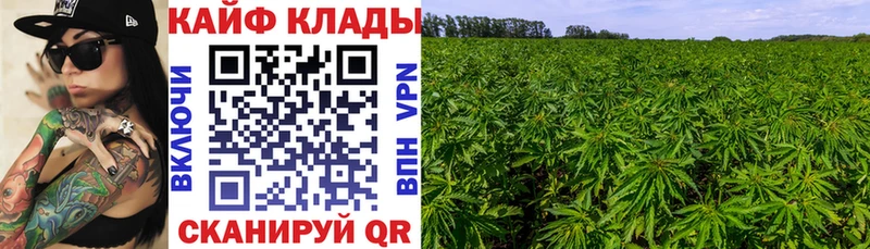 Где продают наркотики Велиж МАРИХУАНА Мефедрон Альфа ПВП ГАШИШ