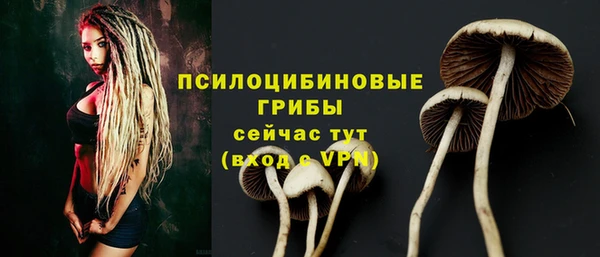 круглые Белокуриха